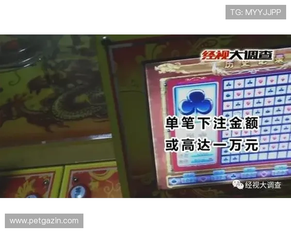 整体分析百家乐路单电脑版软件的功能与使用优势详解