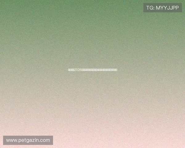 乐鱼体育2026世界杯观赛指南：如何在线观看比赛及精彩集锦推荐