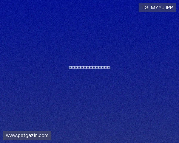 九重娱乐规则总结:打造高质量世界杯体育娱乐报道的核心原则