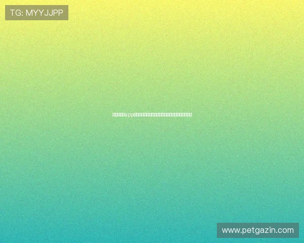 掌握百家乐app下载技巧让你在世界杯期间尽情体验体育娱乐新玩法
