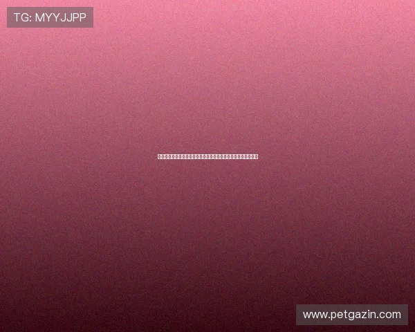 银河娱乐地址：世界杯热点赛事分析与银河娱乐平台安全登录指南