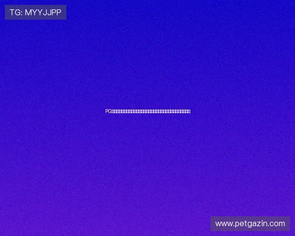PG娱乐真人平台有哪些提供高清流畅世界杯直播的技术保障与用户体验分析
